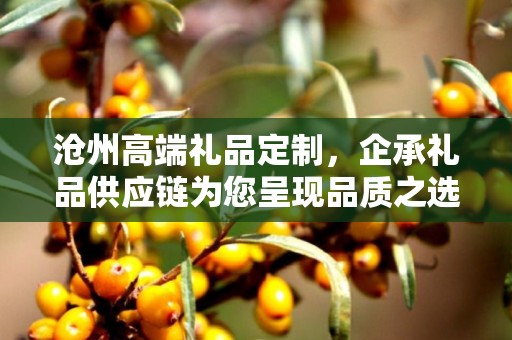 沧州高端礼品定制，企承礼品供应链为您呈现品质之选