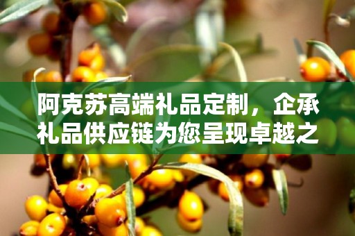 阿克苏高端礼品定制，企承礼品供应链为您呈现卓越之选