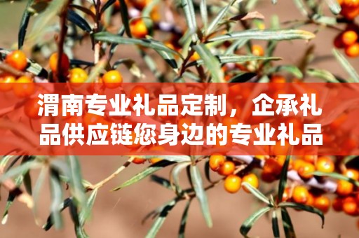 渭南专业礼品定制，企承礼品供应链您身边的专业礼品定制公司