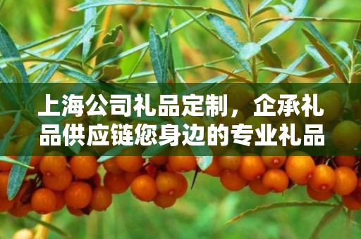 上海公司礼品定制，企承礼品供应链您身边的专业礼品定制公司