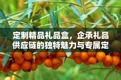 定制精品礼品盒，企承礼品供应链的独特魅力与专属定制体验